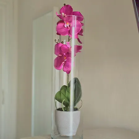 Iris Apartment Benalmadena